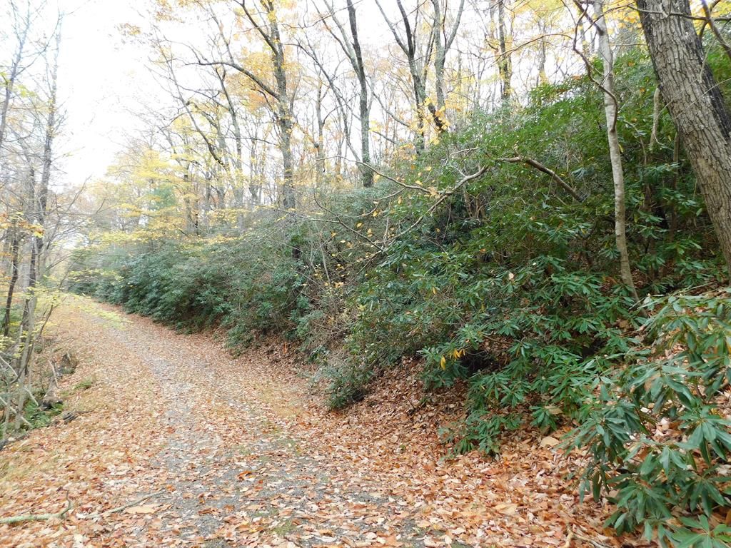 Photo of 3031 Black Gum Trail #F30-F31, Fancy Gap, VA 24328 (MLS # 105849)