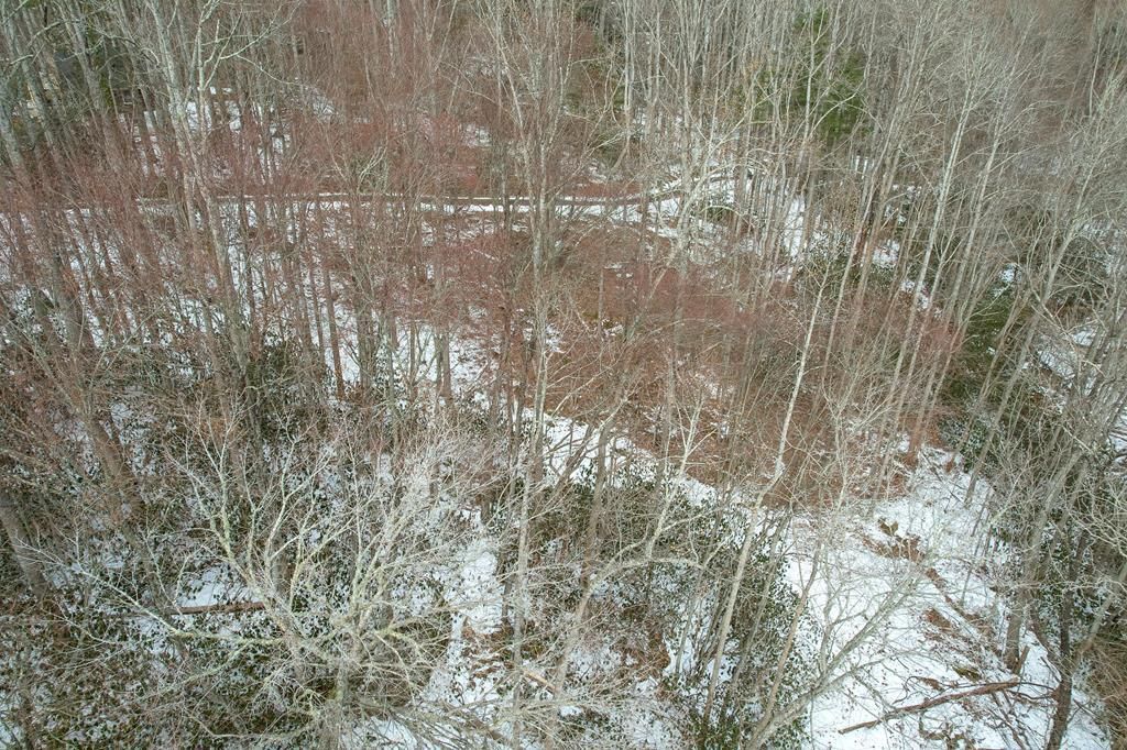 Photo of TBD Briar Rock Trail #A11 and A12, Fancy Gap, VA 24328 (MLS # 103284)
