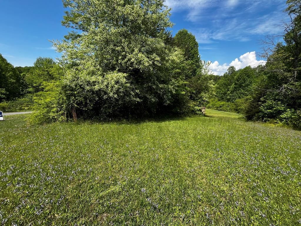 Photo of 00000 Virgilina Circle #40A, 47, 47A, Cana, VA 24317 (MLS # 100432)