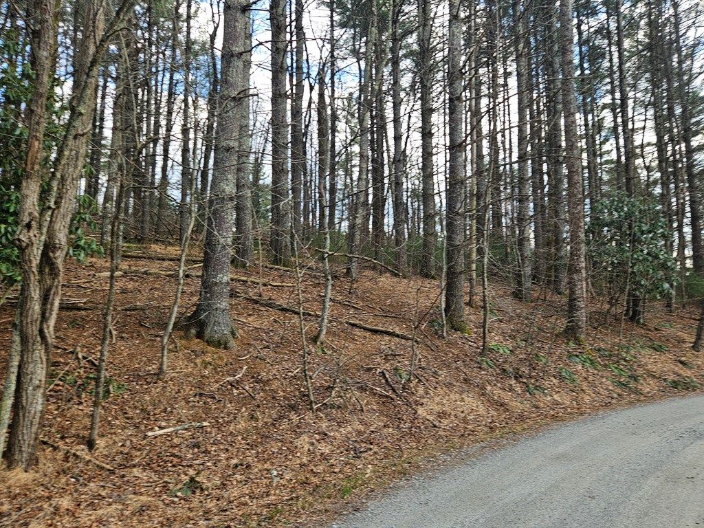 Photo of TBD Panorama Drive #L-12, Todd, NC 28684 (MLS # 109545)