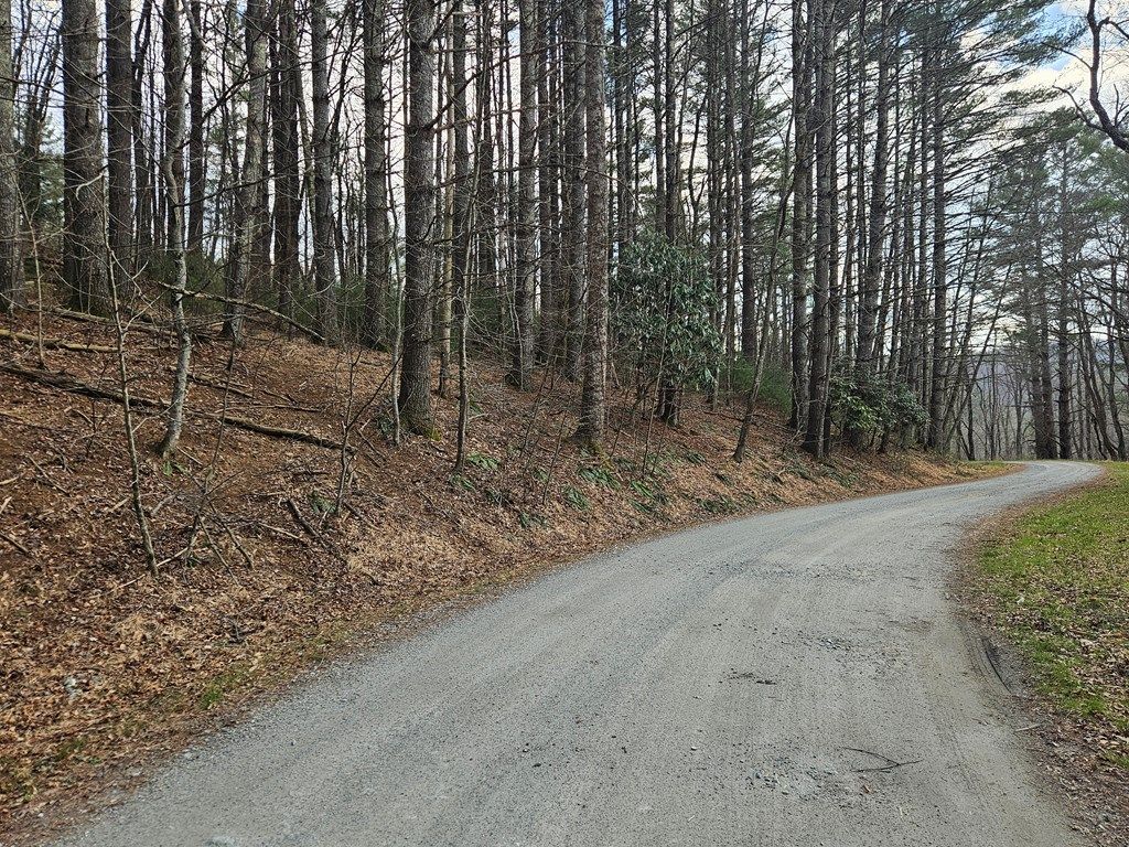 Photo of TBD Panorama Drive #L-12, Todd, NC 28684 (MLS # 109545)