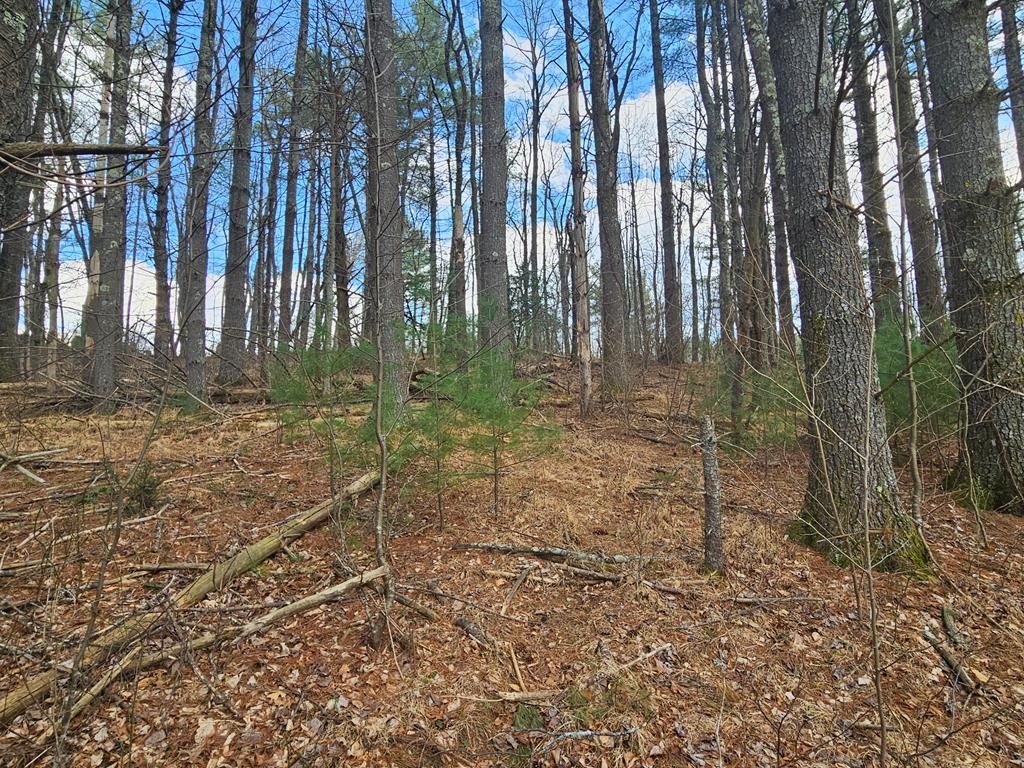 Photo of TBD Panorama Drive #L-12, Todd, NC 28684 (MLS # 109545)
