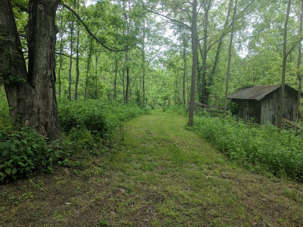 Photo of TBD E Lee Hwy #See Remarks, Max Meadows, VA 24360 (MLS # 109665)