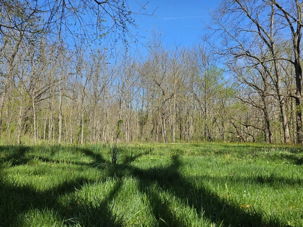 Photo of TBD E Lee Hwy #See Remarks, Max Meadows, VA 24360 (MLS # 109665)