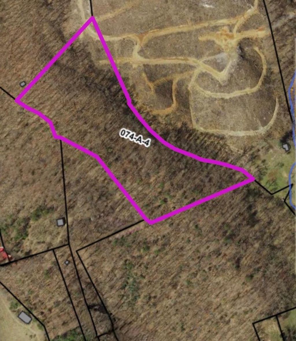 Photo of TBD Branch Street #4, Mendota, VA 24270 (MLS # 104722)