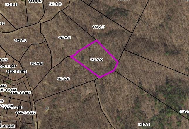 Photo of 116 Spring Pond Trl #116, Fancy Gap, VA 24328 (MLS # 111123)