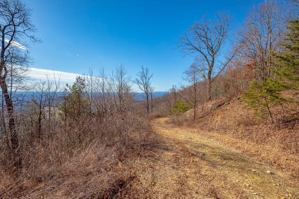 Photo of 116 Spring Pond Trl #116, Fancy Gap, VA 24328 (MLS # 111123)
