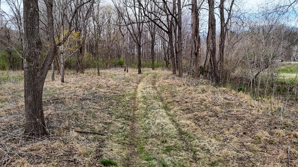 Photo of 0 Ashby Dr #n/a, Stuart, VA 24171 (MLS # 99091)