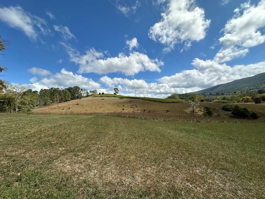 Photo of 621 Point Pleasant Rd #2 &amp; 4, Bland, VA 24315 (MLS # 109324)