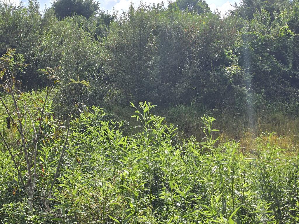 Photo of 28 River Bottom Ln #28, Galax, VA 24333 (MLS # 111875)