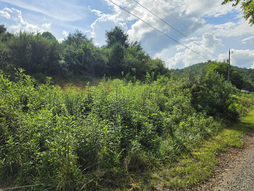 Photo of 28 River Bottom Ln #28, Galax, VA 24333 (MLS # 111875)