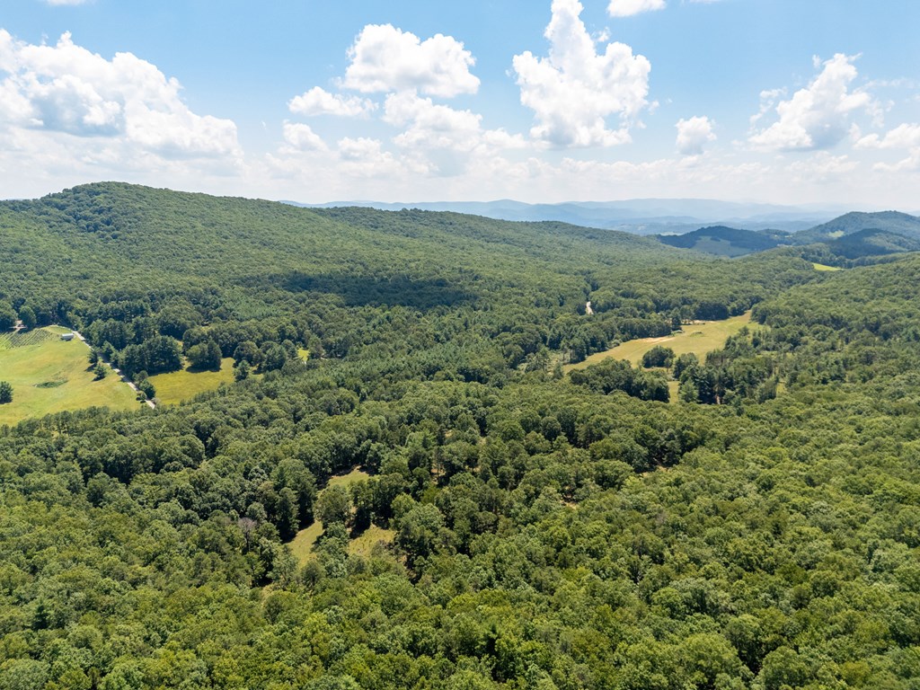 Wytheville, Virginia 24382, United States, 3 Bedrooms Bedrooms, ,4 BathroomsBathrooms,Residential,Active,182162