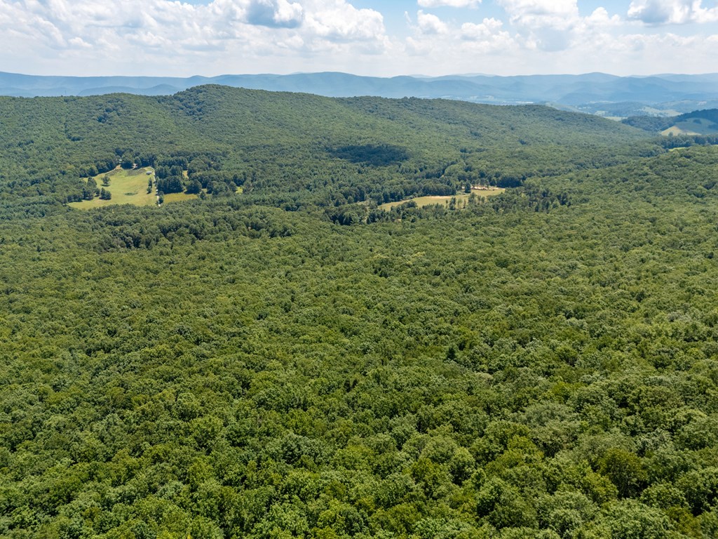 Wytheville, Virginia 24382, United States, 3 Bedrooms Bedrooms, ,4 BathroomsBathrooms,Residential,Active,182162