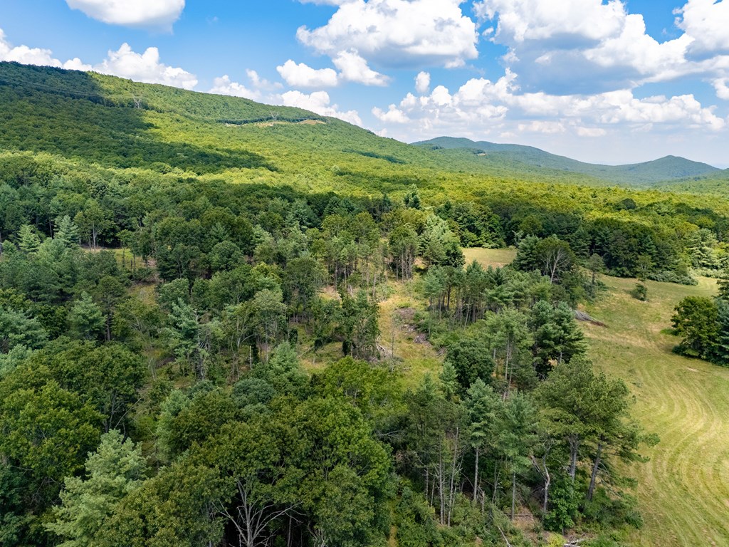 Wytheville, Virginia 24382, United States, 3 Bedrooms Bedrooms, ,4 BathroomsBathrooms,Residential,Active,182162