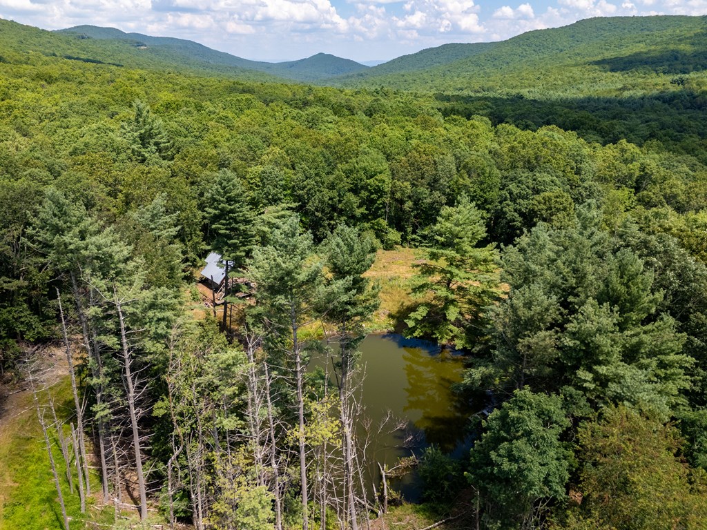 Wytheville, Virginia 24382, United States, 3 Bedrooms Bedrooms, ,4 BathroomsBathrooms,Residential,Active,182162