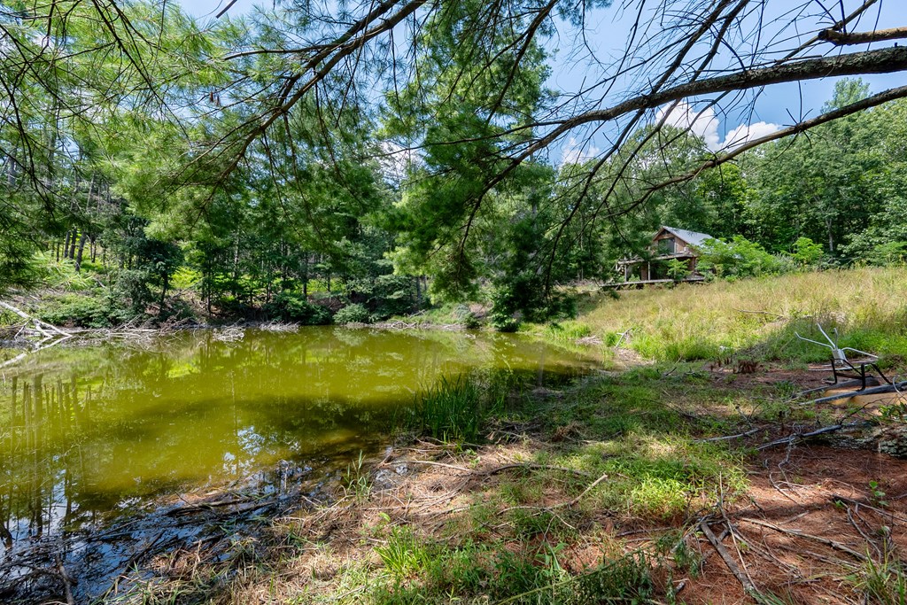 Wytheville, Virginia 24382, United States, 3 Bedrooms Bedrooms, ,4 BathroomsBathrooms,Residential,Active,182162