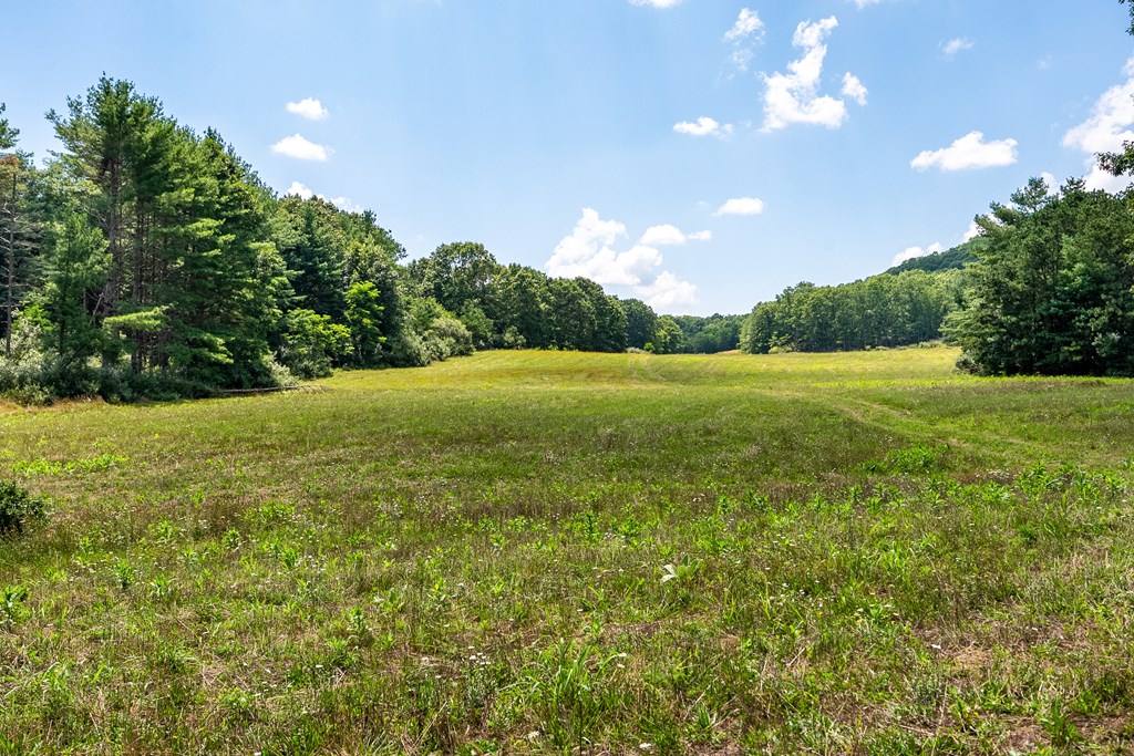 Wytheville, Virginia 24382, United States, 3 Bedrooms Bedrooms, ,4 BathroomsBathrooms,Residential,Active,182162