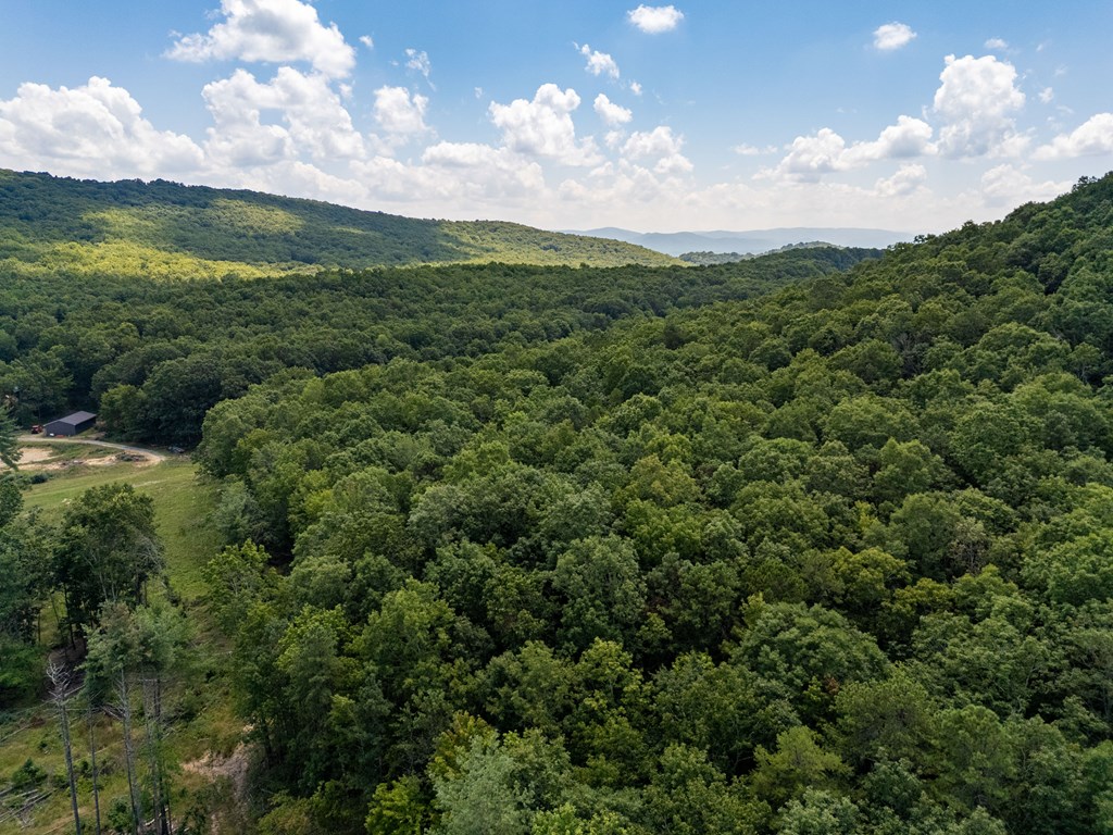 Wytheville, Virginia 24382, United States, 3 Bedrooms Bedrooms, ,4 BathroomsBathrooms,Residential,Active,182162