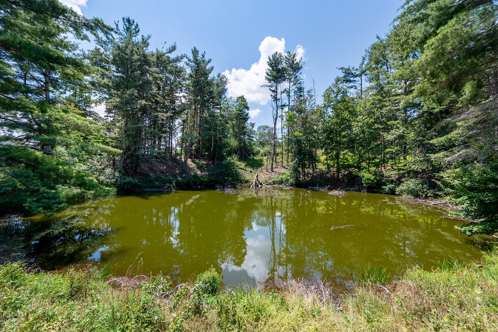 Wytheville, Virginia 24382, United States, 3 Bedrooms Bedrooms, ,4 BathroomsBathrooms,Residential,Active,182162