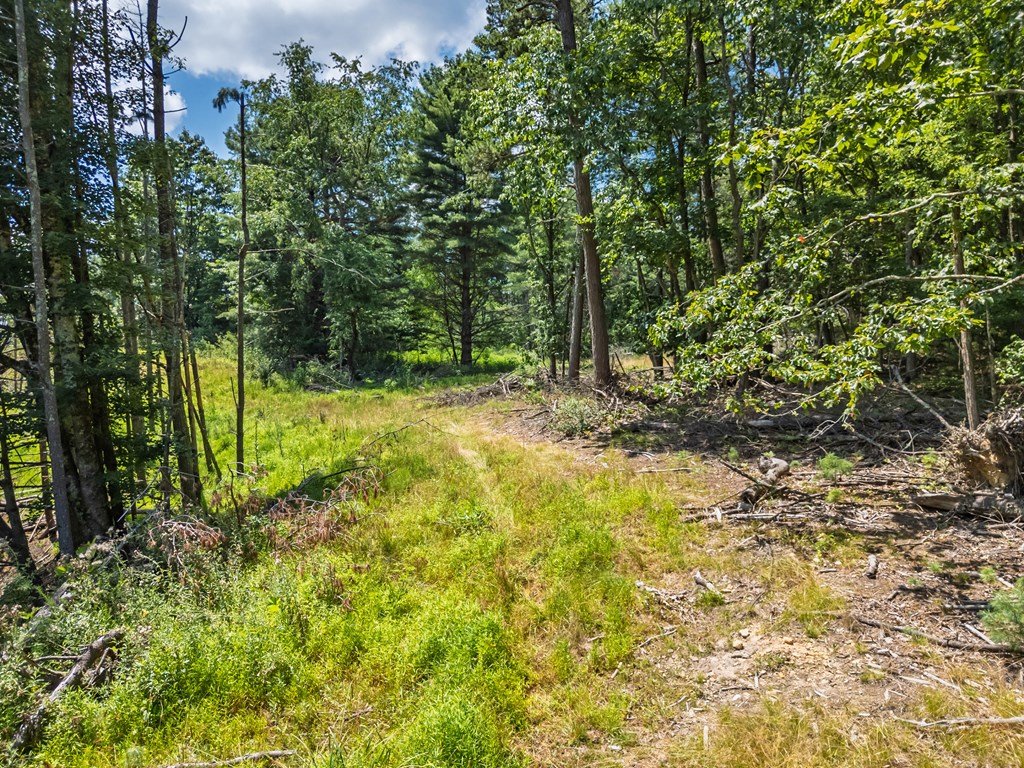 Wytheville, Virginia 24382, United States, 3 Bedrooms Bedrooms, ,4 BathroomsBathrooms,Residential,Active,182162