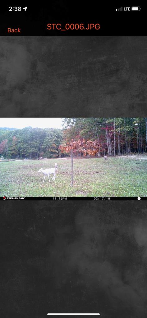 Wytheville, Virginia 24382, United States, 3 Bedrooms Bedrooms, ,4 BathroomsBathrooms,Residential,Active,182162