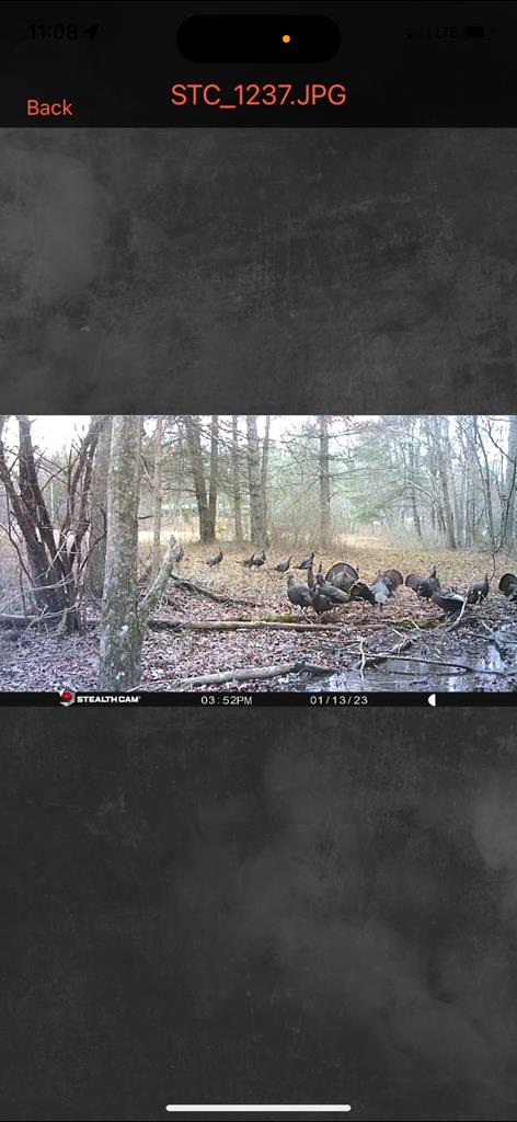 Wytheville, Virginia 24382, United States, 3 Bedrooms Bedrooms, ,4 BathroomsBathrooms,Residential,Active,182162