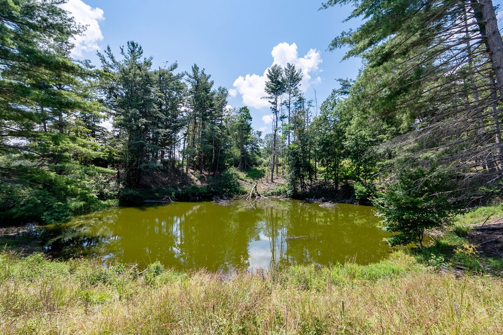 Wytheville, Virginia 24382, United States, 3 Bedrooms Bedrooms, ,4 BathroomsBathrooms,Residential,Active,182162