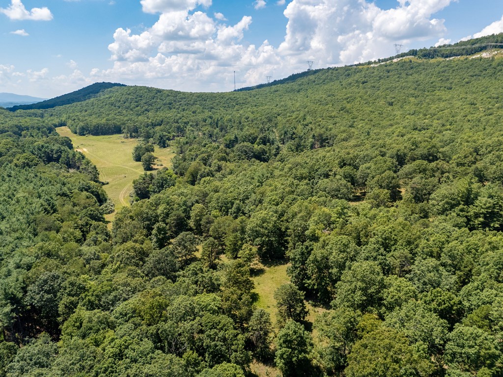 Wytheville, Virginia 24382, United States, 3 Bedrooms Bedrooms, ,4 BathroomsBathrooms,Residential,Active,182162