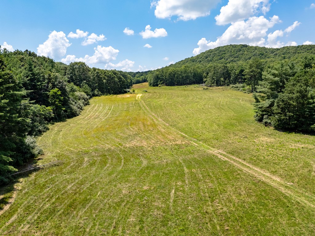 Wytheville, Virginia 24382, United States, 3 Bedrooms Bedrooms, ,4 BathroomsBathrooms,Residential,Active,182162