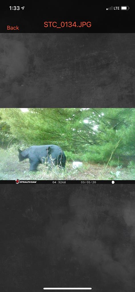 Wytheville, Virginia 24382, United States, 3 Bedrooms Bedrooms, ,4 BathroomsBathrooms,Residential,Active,182162