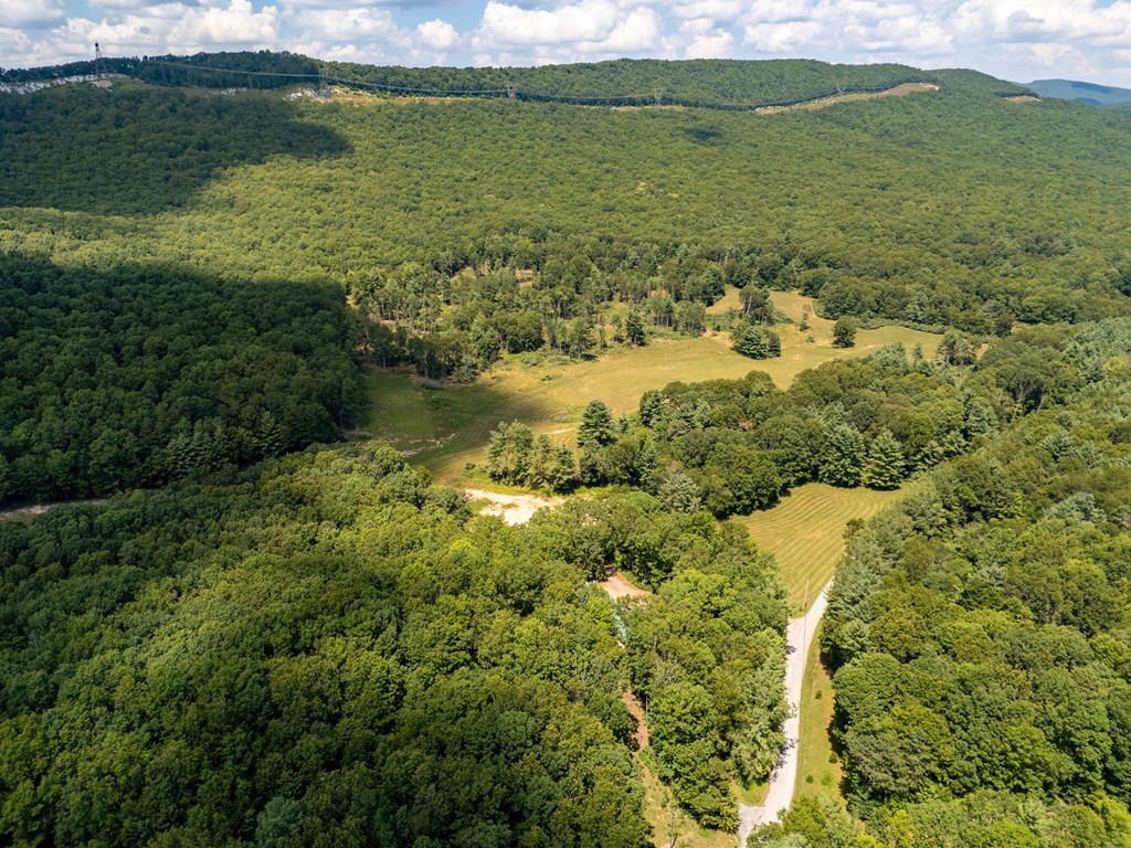 Wytheville, Virginia 24382, United States, 3 Bedrooms Bedrooms, ,4 BathroomsBathrooms,Residential,Active,182162