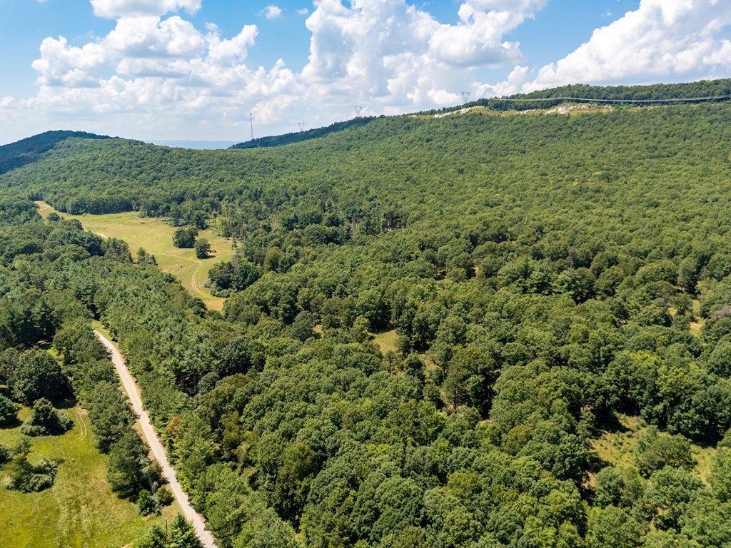 Wytheville, Virginia 24382, United States, 3 Bedrooms Bedrooms, ,4 BathroomsBathrooms,Residential,Active,182162