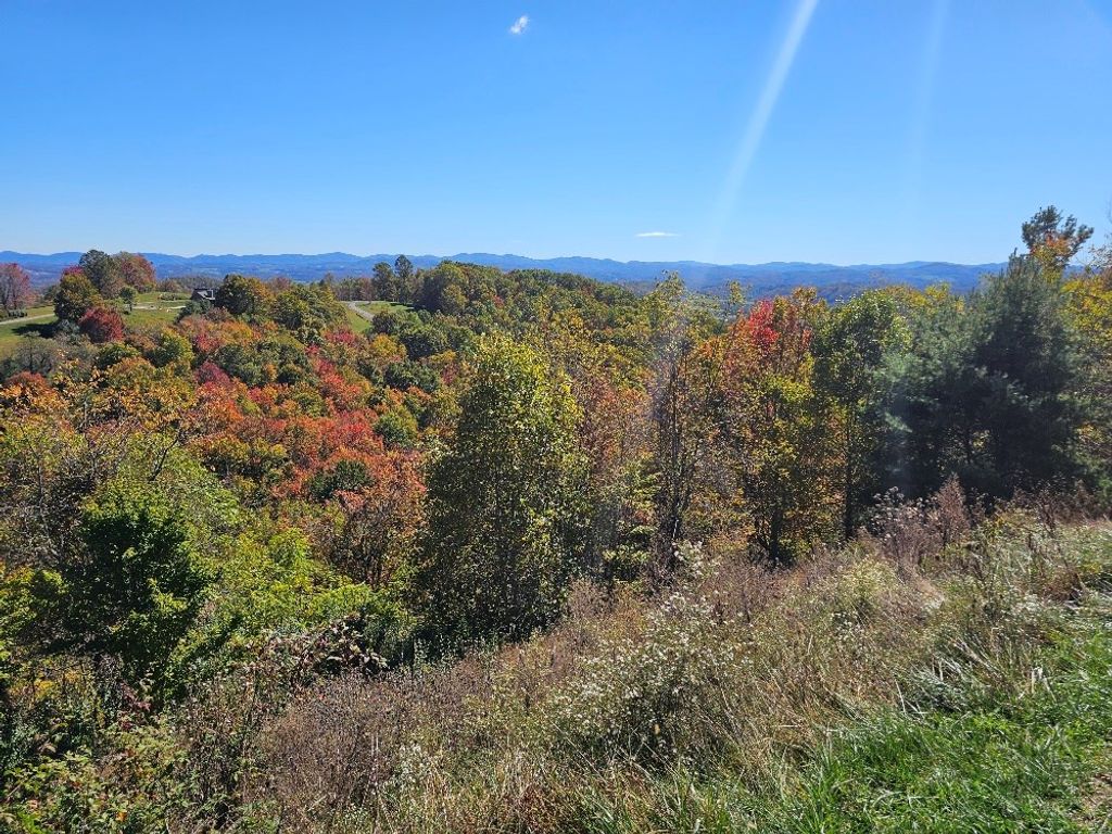 Photo of 9 Mayito Ln #9, Mouth of Wilson, VA 24363 (MLS # 103741)