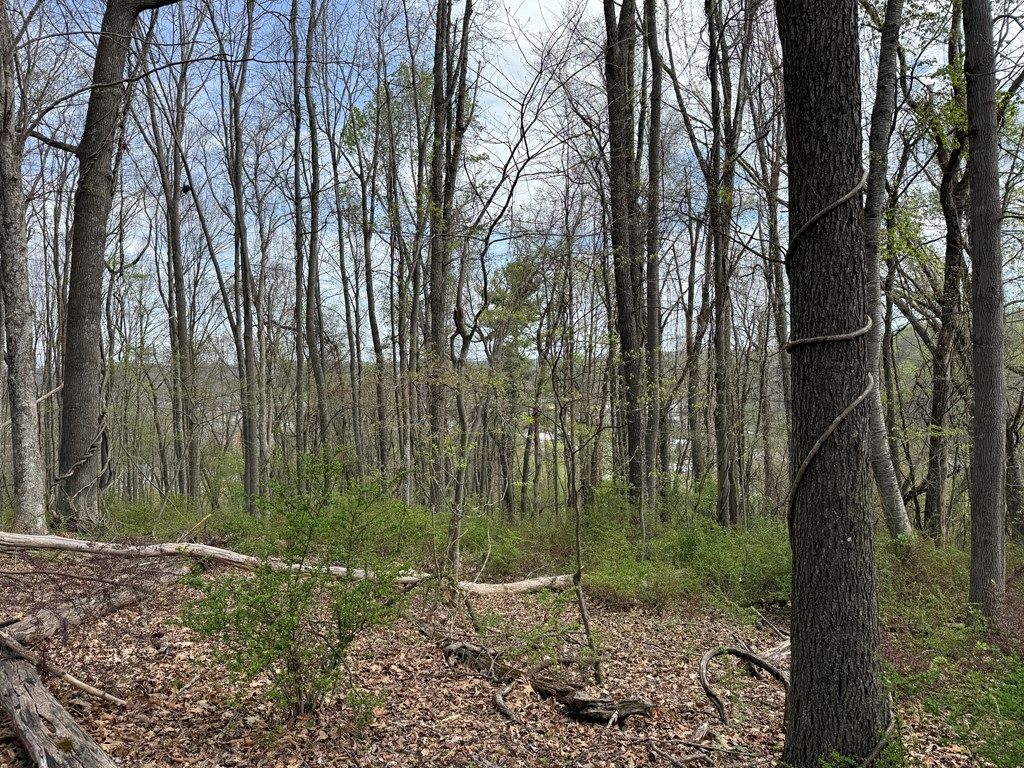 Photo of TBD Holly St #N/A, Galax, VA 24333 (MLS # 109643)