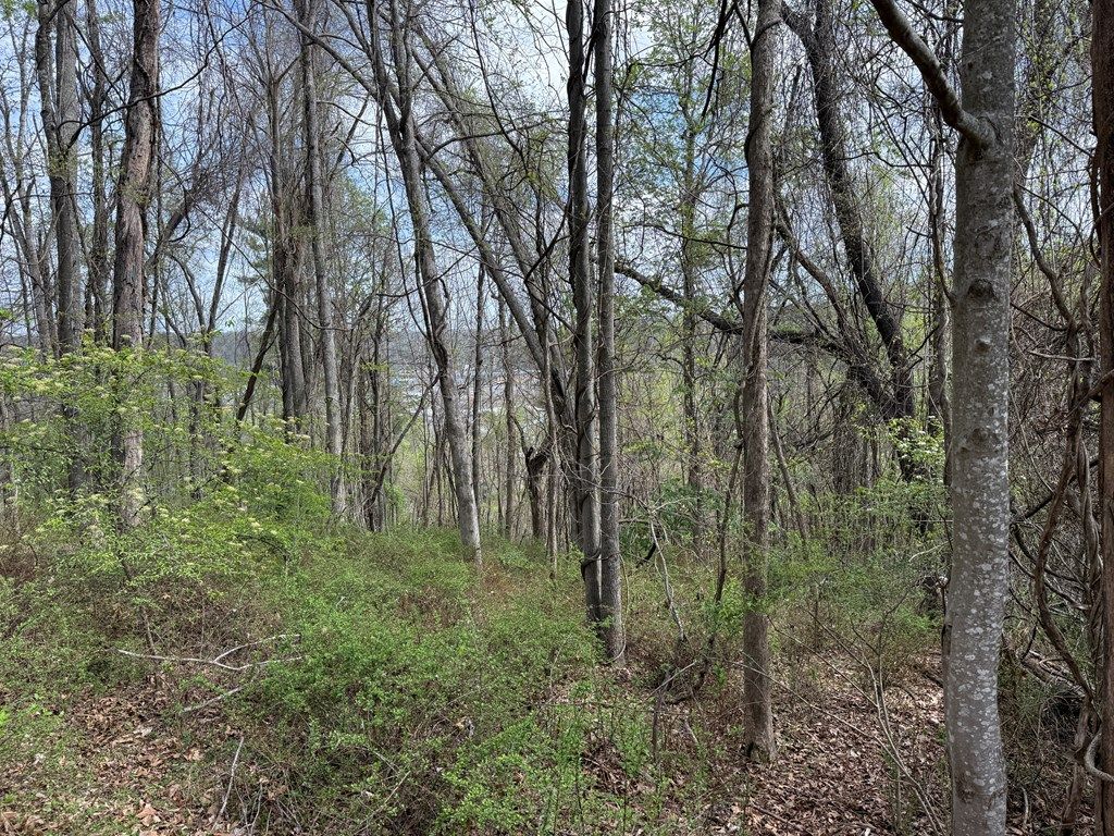 Photo of TBD Holly St #N/A, Galax, VA 24333 (MLS # 109643)