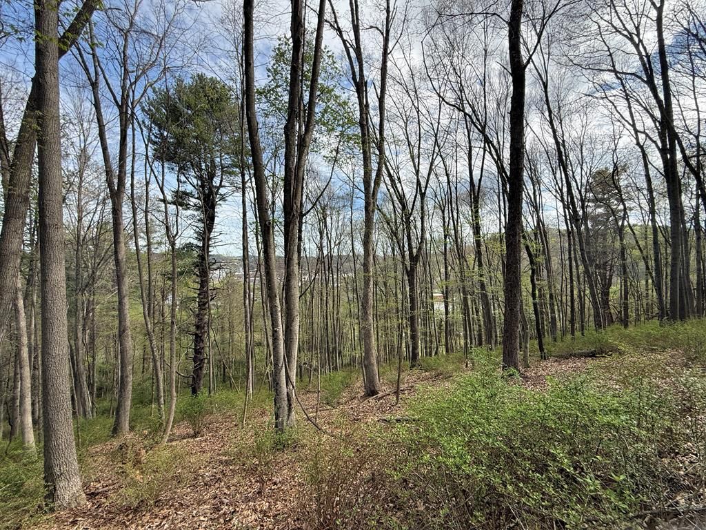 Photo of TBD Holly St #N/A, Galax, VA 24333 (MLS # 109643)