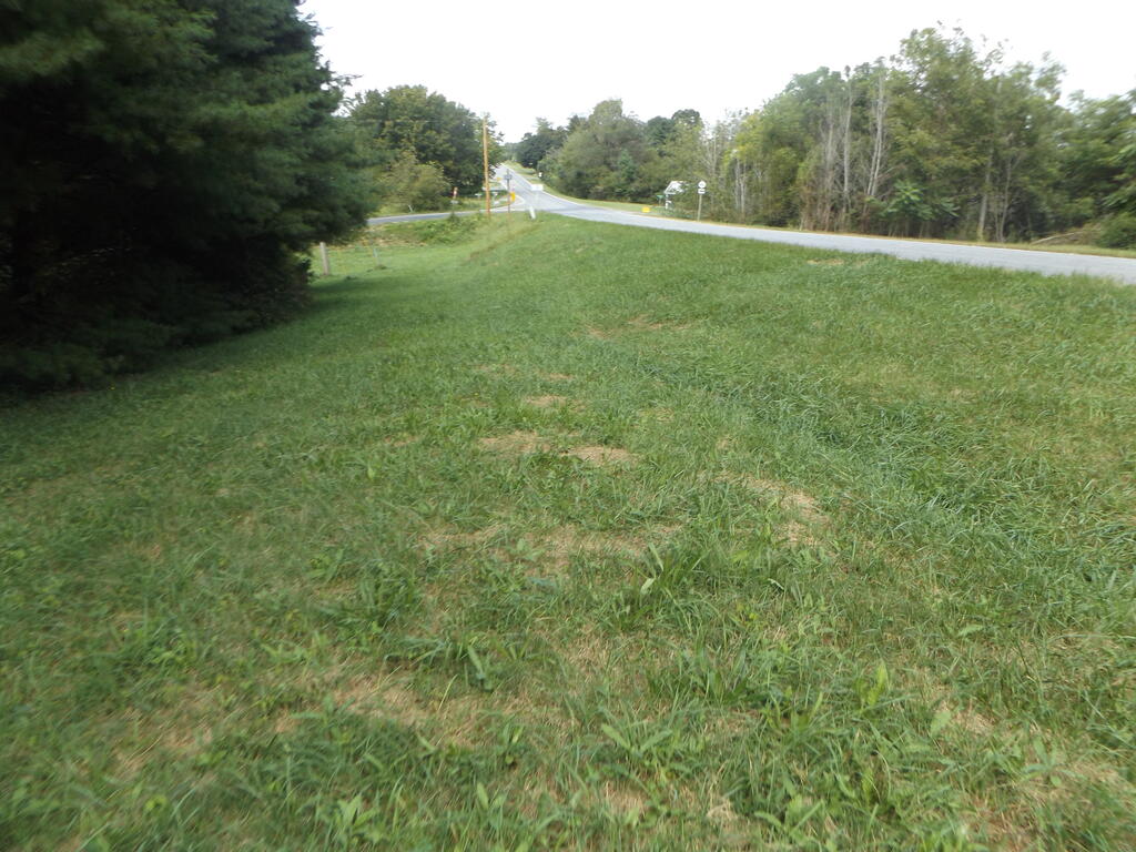 Photo of TBD Sylvatus Hwy #1, Hillsville, VA 24343 (MLS # 111878)