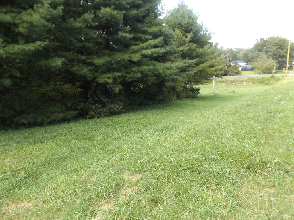 Photo of TBD Sylvatus Hwy #1, Hillsville, VA 24343 (MLS # 111878)