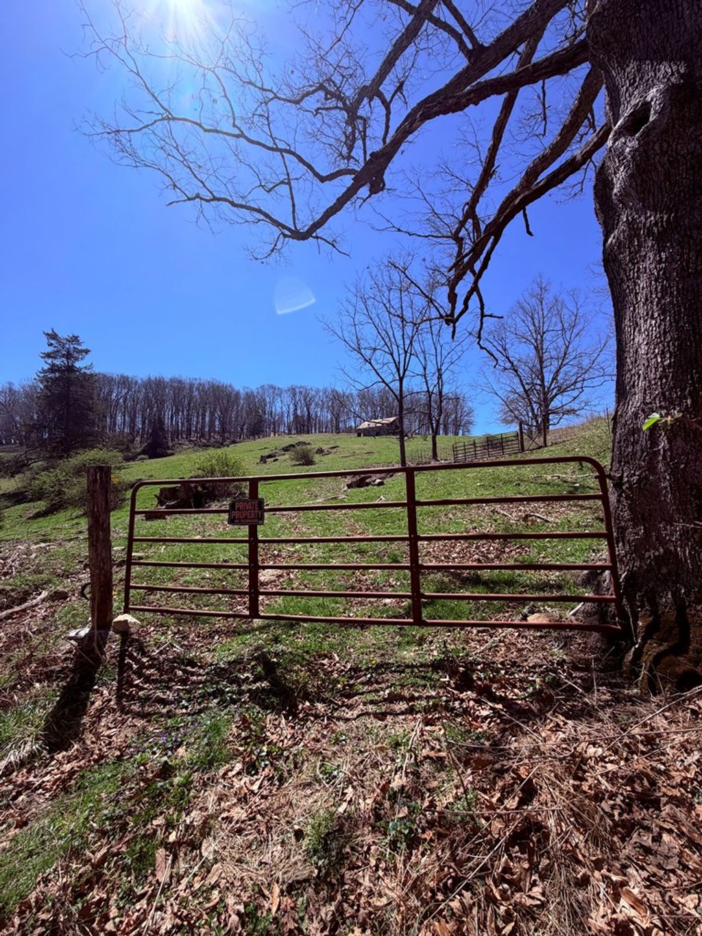 Photo of TBD Odell Rd #n/a, Wytheville, VA 24382 (MLS # 109385)