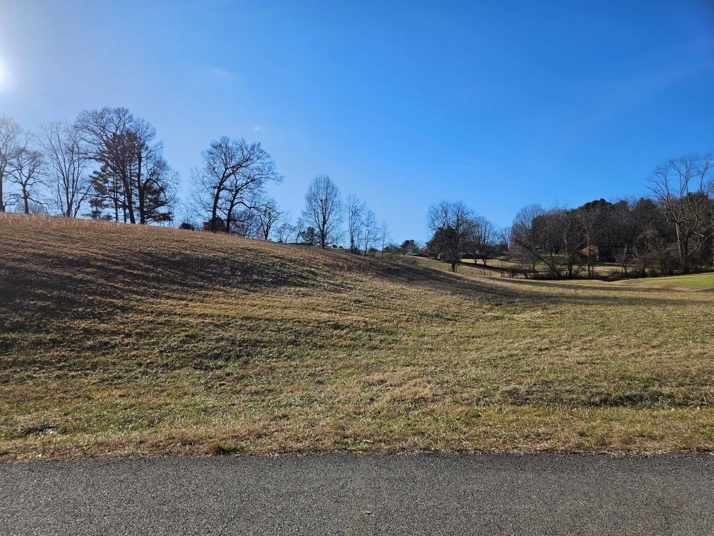 Photo of 119 Yeary Trail #119, Abingdon, VA 24210 (MLS # 104618)
