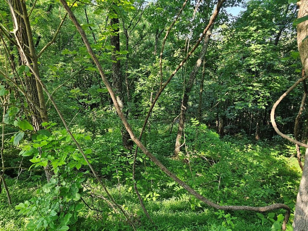 Photo of TBD Wisler Dr #0, Fancy Gap, VA 24328 (MLS # 100447)