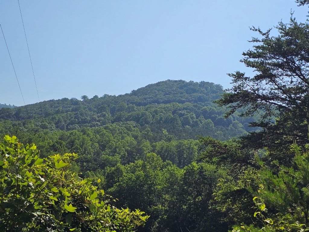 Photo of TBD Wisler Dr #0, Fancy Gap, VA 24328 (MLS # 100447)