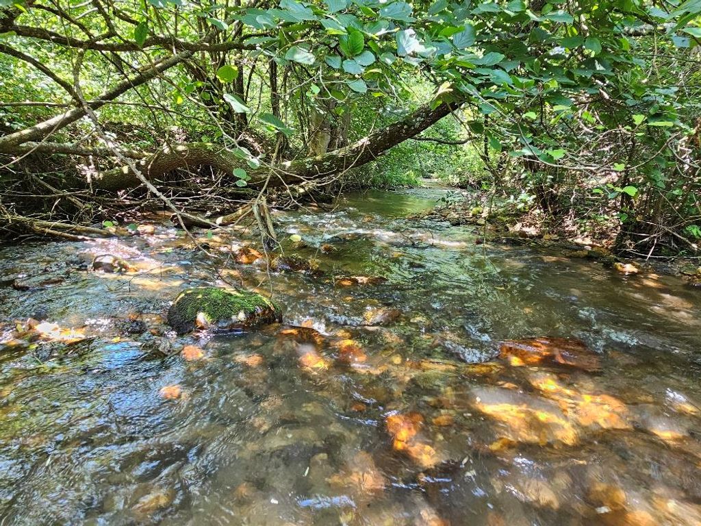 Photo of TBD Wisler Dr #0, Fancy Gap, VA 24328 (MLS # 100447)