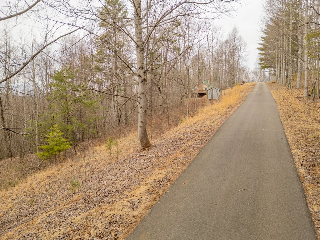 Dugspur, Virginia 24325, United States, 3 Bedrooms Bedrooms, ,2 BathroomsBathrooms,Residential,Active,89861