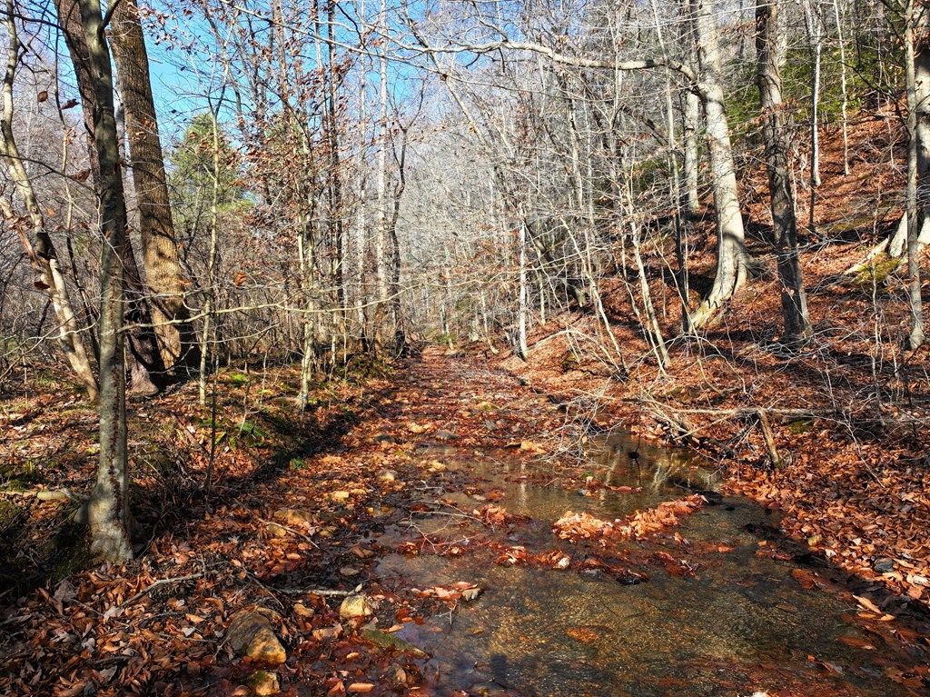 Photo of 00 Pembrook Road #0, Ferrum, VA 24088 (MLS # 104355)