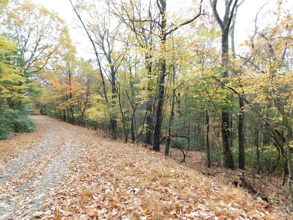 Photo of 1112 Little Ridge Trail #C11-C12, Fancy Gap, VA 24328 (MLS # 105852)