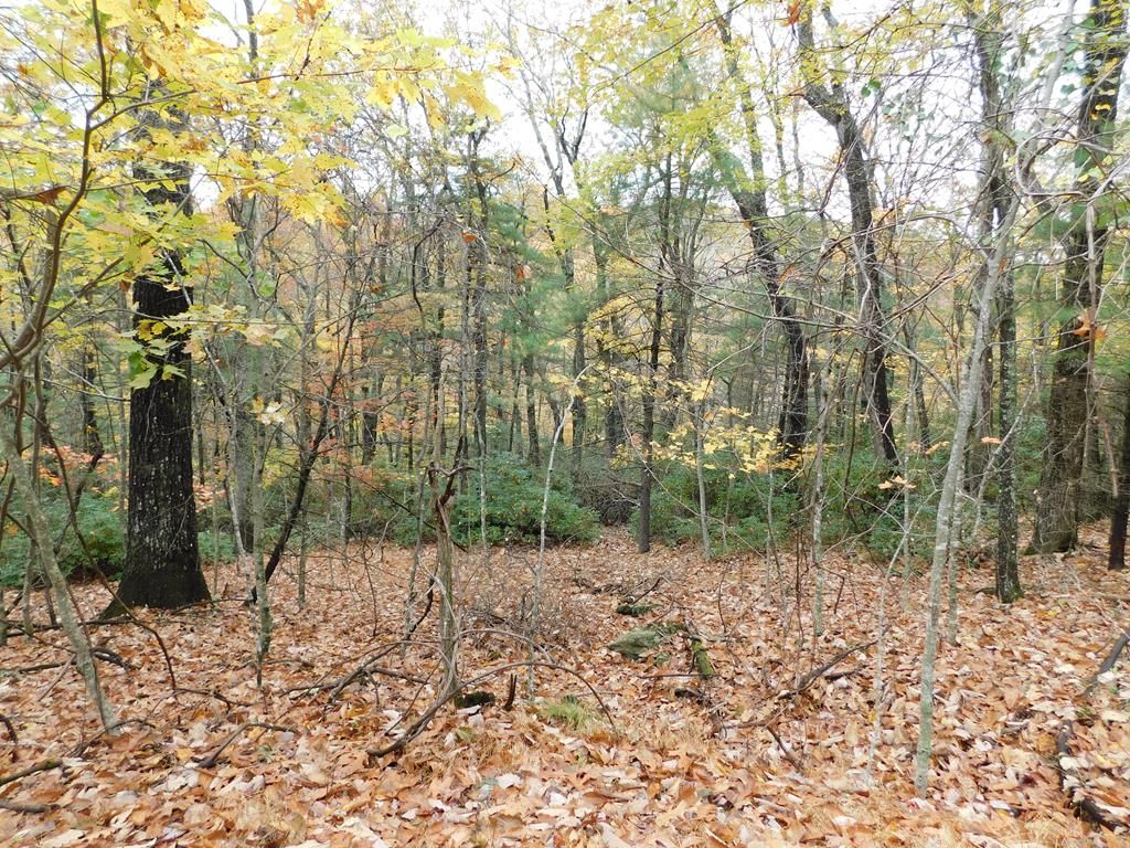Photo of 1112 Little Ridge Trail #C11-C12, Fancy Gap, VA 24328 (MLS # 105852)
