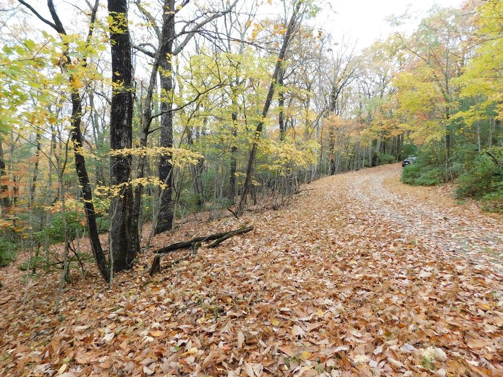 Photo of 1112 Little Ridge Trail #C11-C12, Fancy Gap, VA 24328 (MLS # 105852)