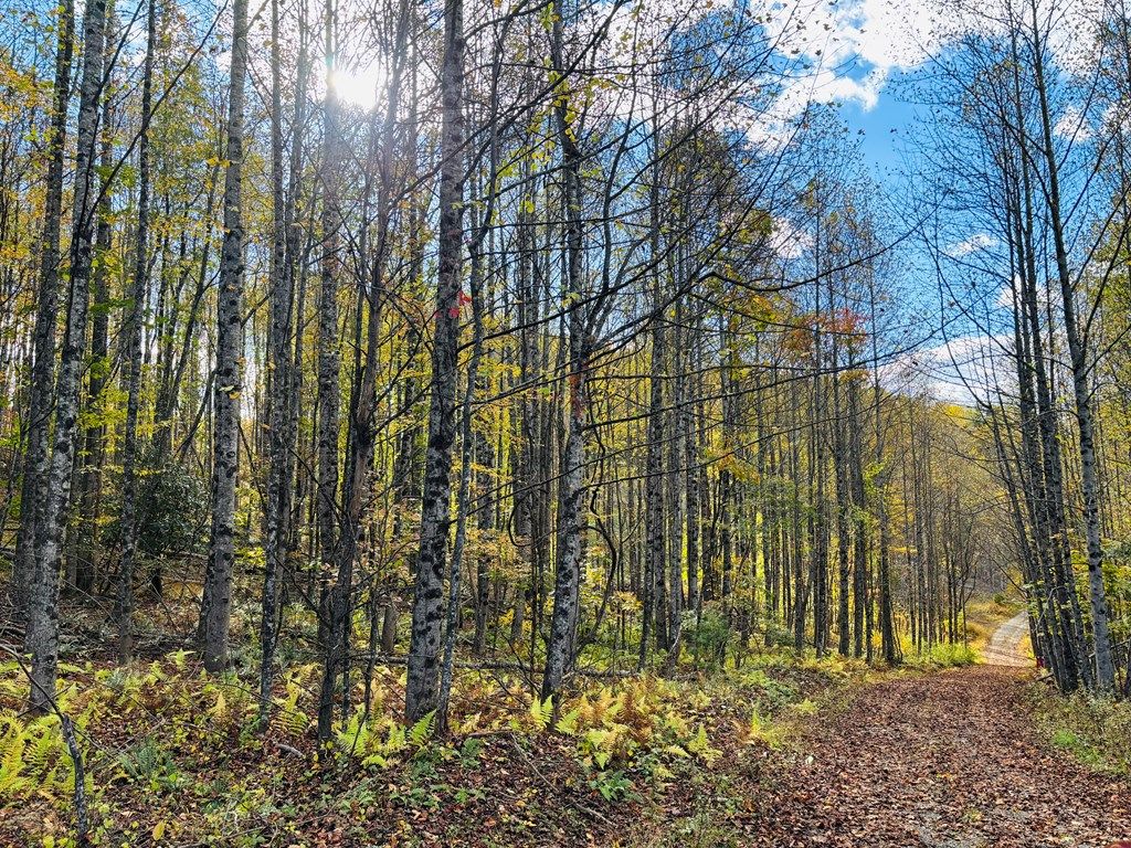Photo of TBD Red Roof Lane #6, Laurel Fork, VA 24352 (MLS # 103897)