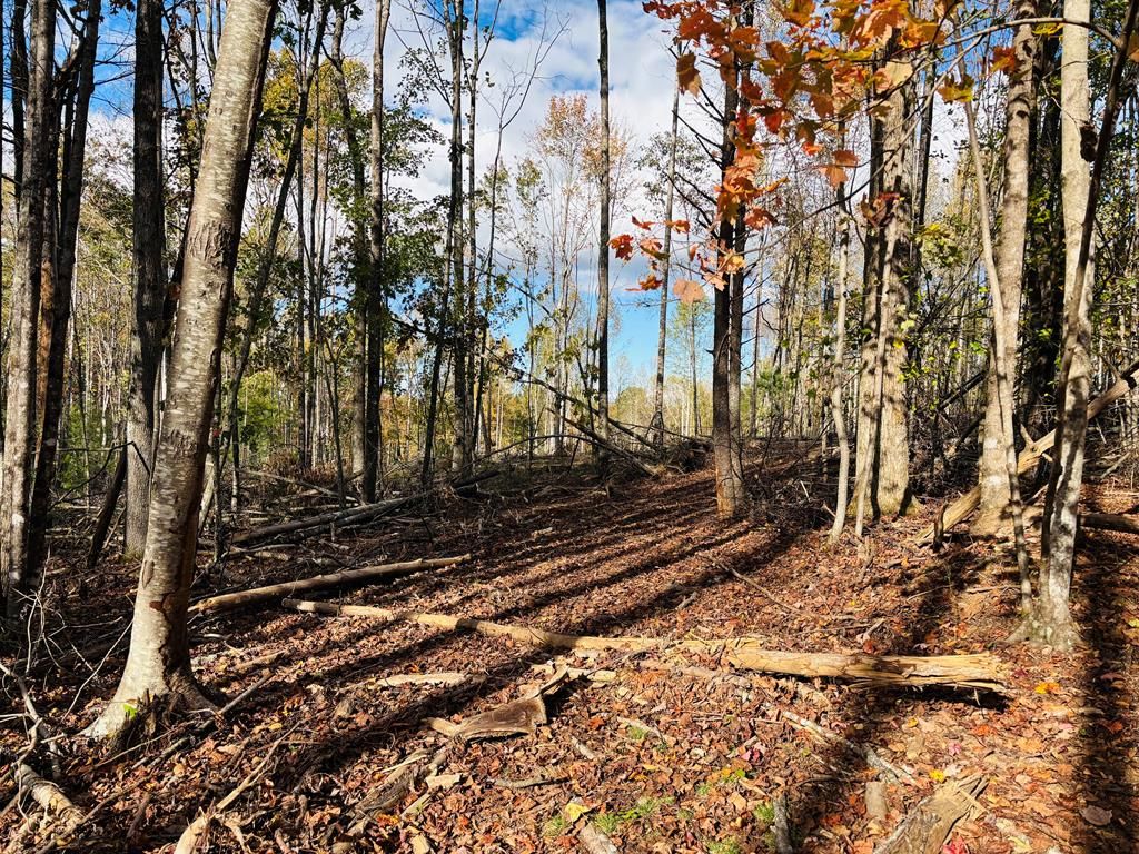 Photo of TBD Red Roof Lane #6, Laurel Fork, VA 24352 (MLS # 103897)